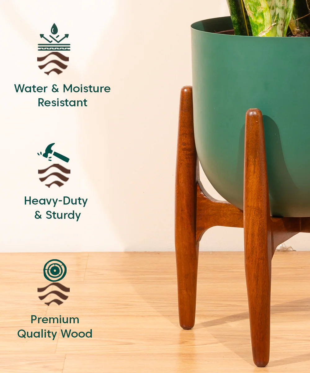 Extra Large (XL) Wooden Stand - Image 4