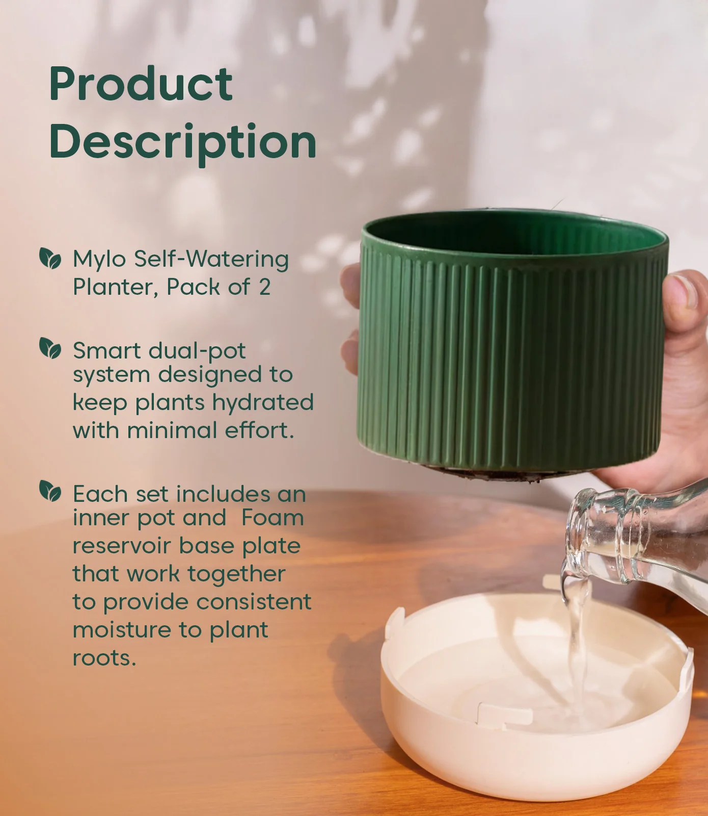 3.5' Inch Mylo Pot Green - Image 6
