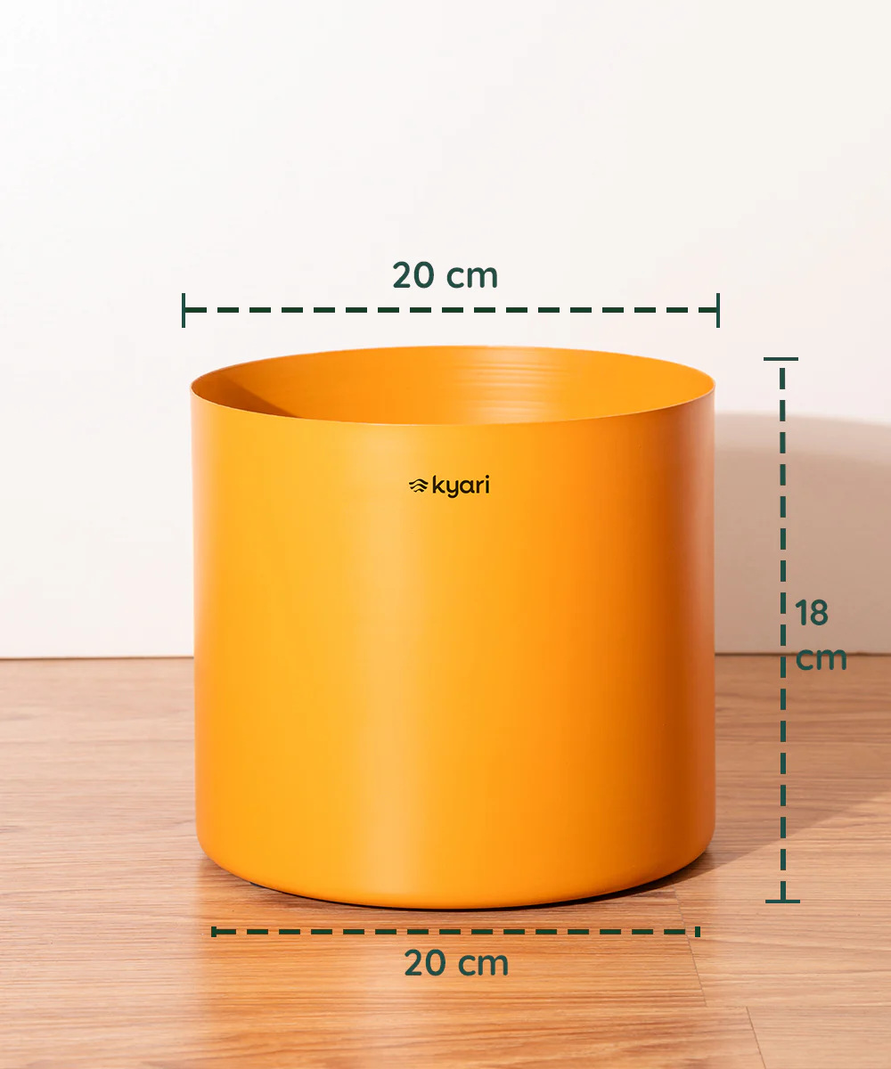 8' Inch Large Pot Orange - Image 2
