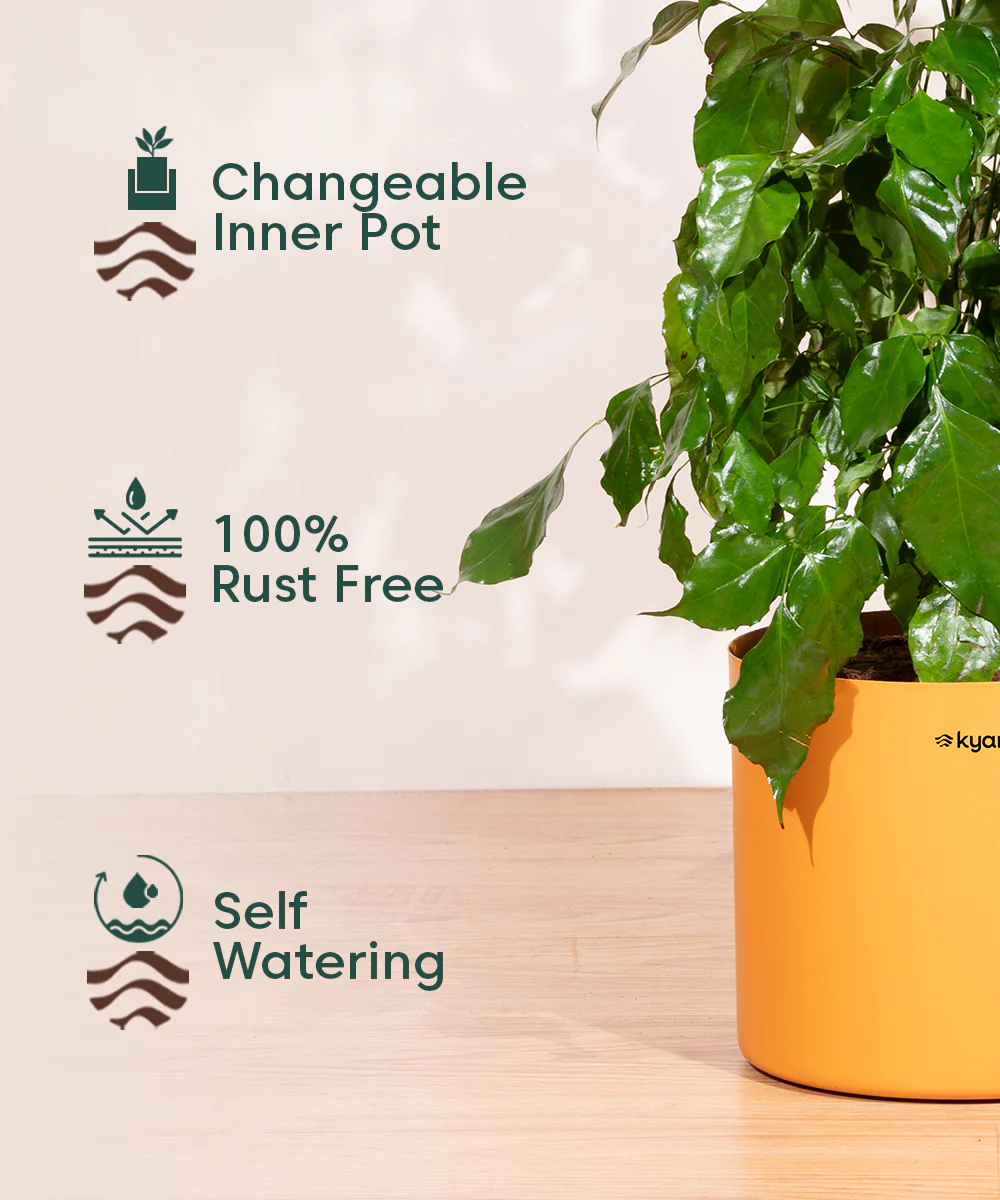 8' Inch Large Pot Orange - Image 3
