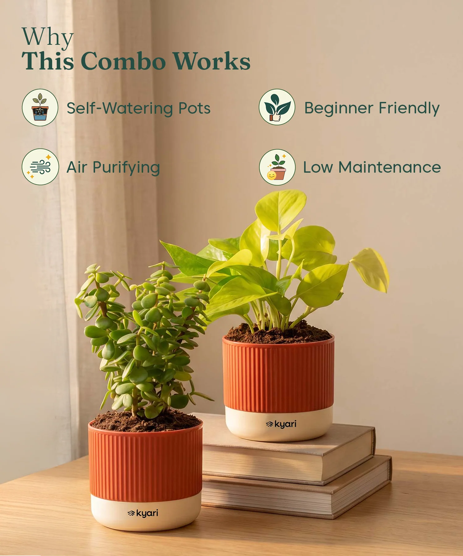 Lucky Plants Combo - Set of 2 Self Watering Plants - Image 4