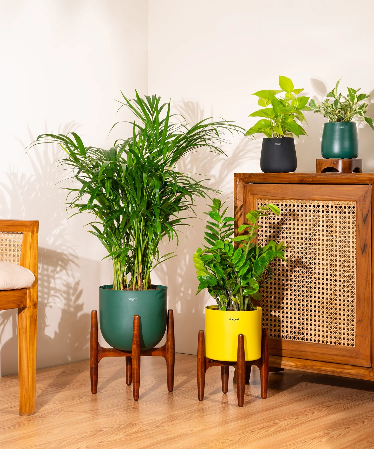 Areca Palm with Metal Self Watering Pot - Image 66