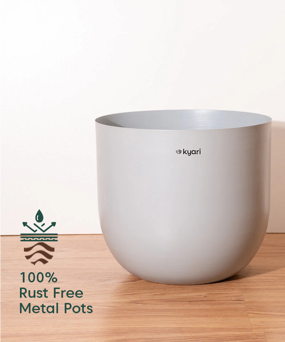 Areca Palm with Metal Self Watering Pot - Image 68