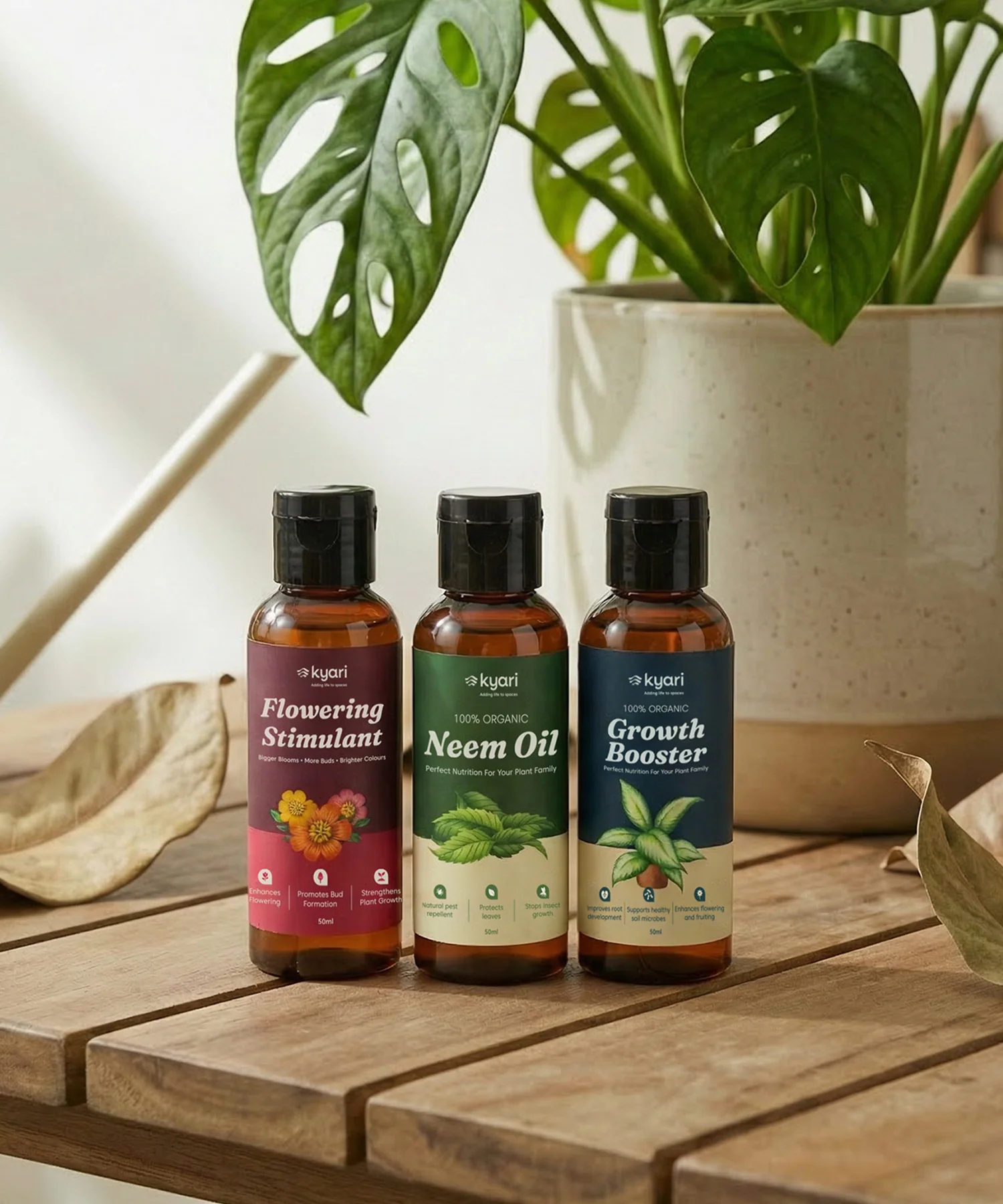 Explore New Launches