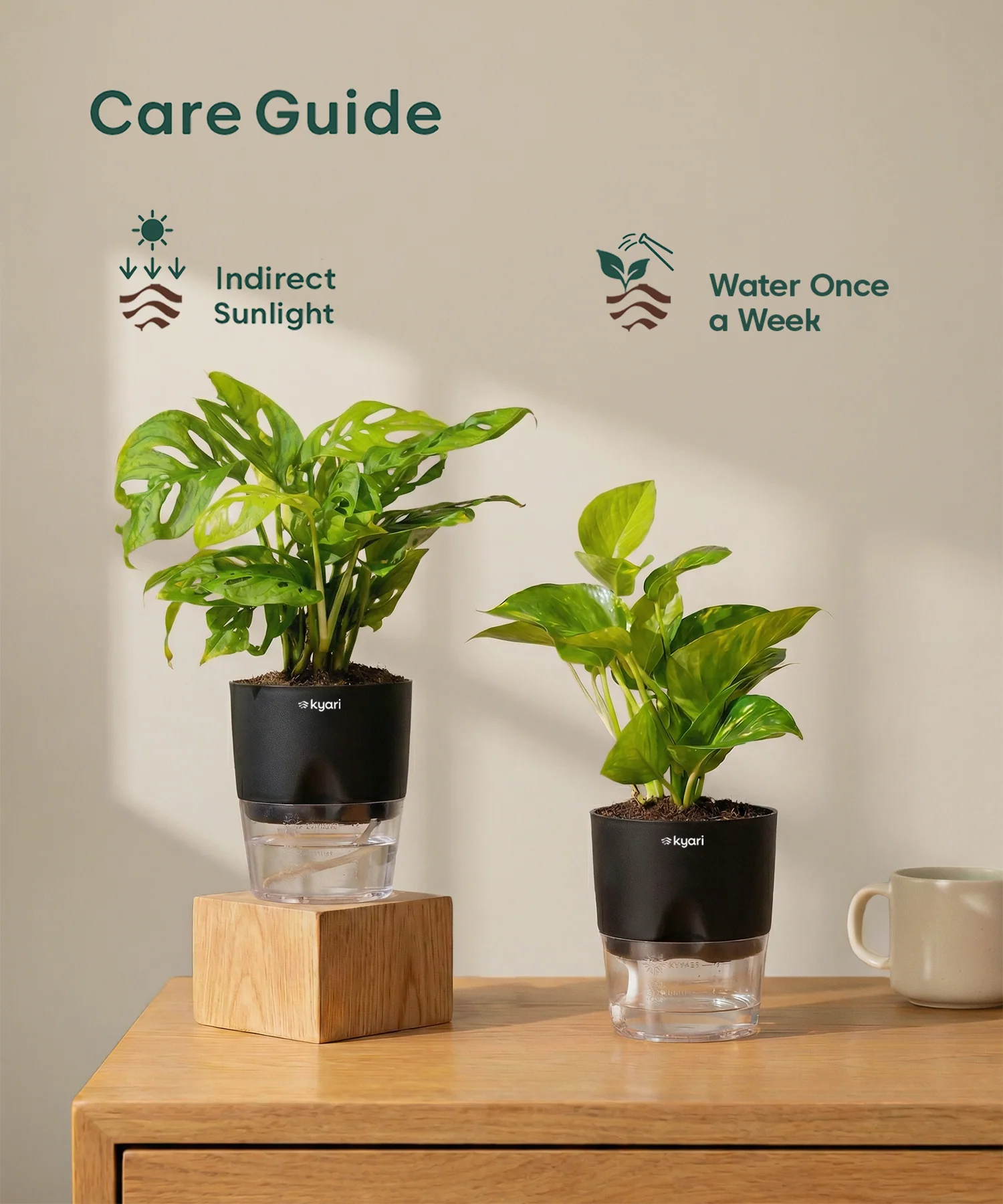 Easy Care Home Decor Combo - Image 3