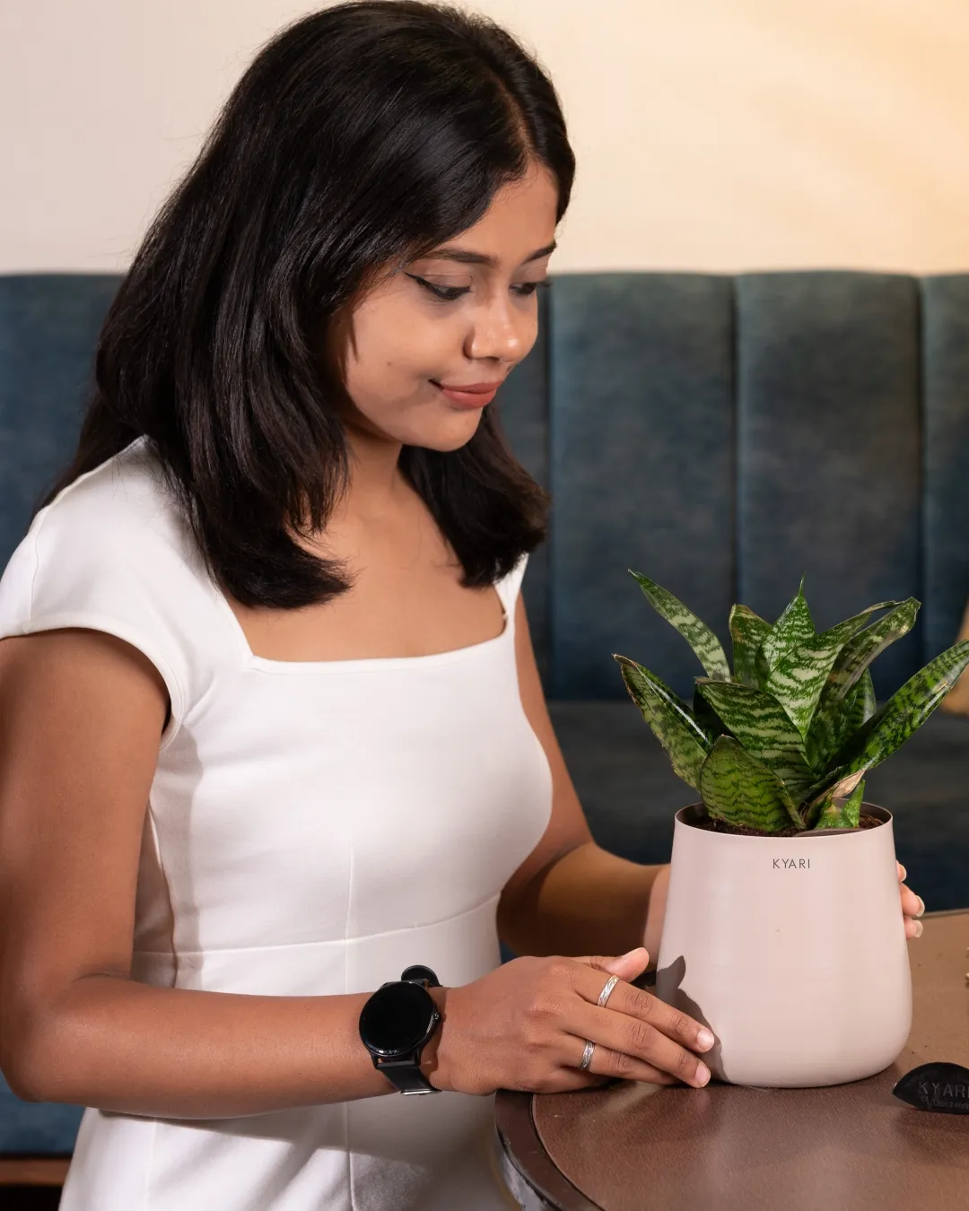 Green Snake Plant with Medium Self Watering Pot - Image 15