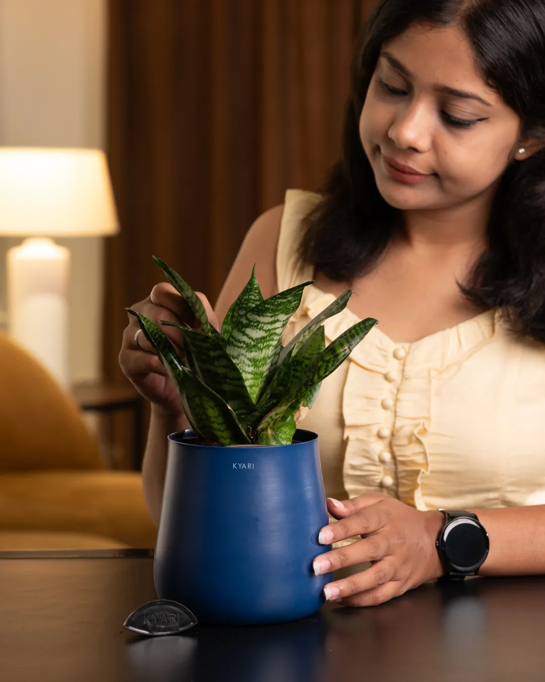 Green Snake Plant with Medium Self Watering Pot - Image 3