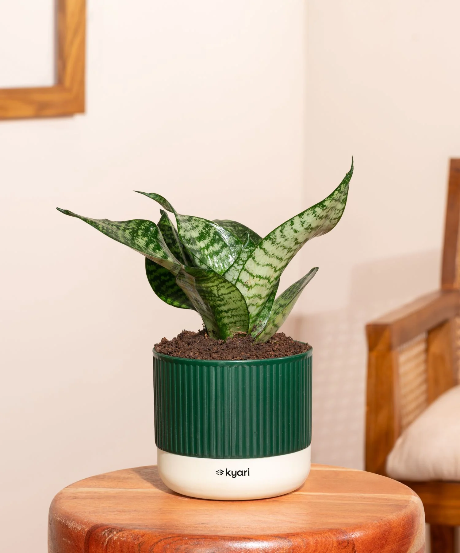 Best for Gifting