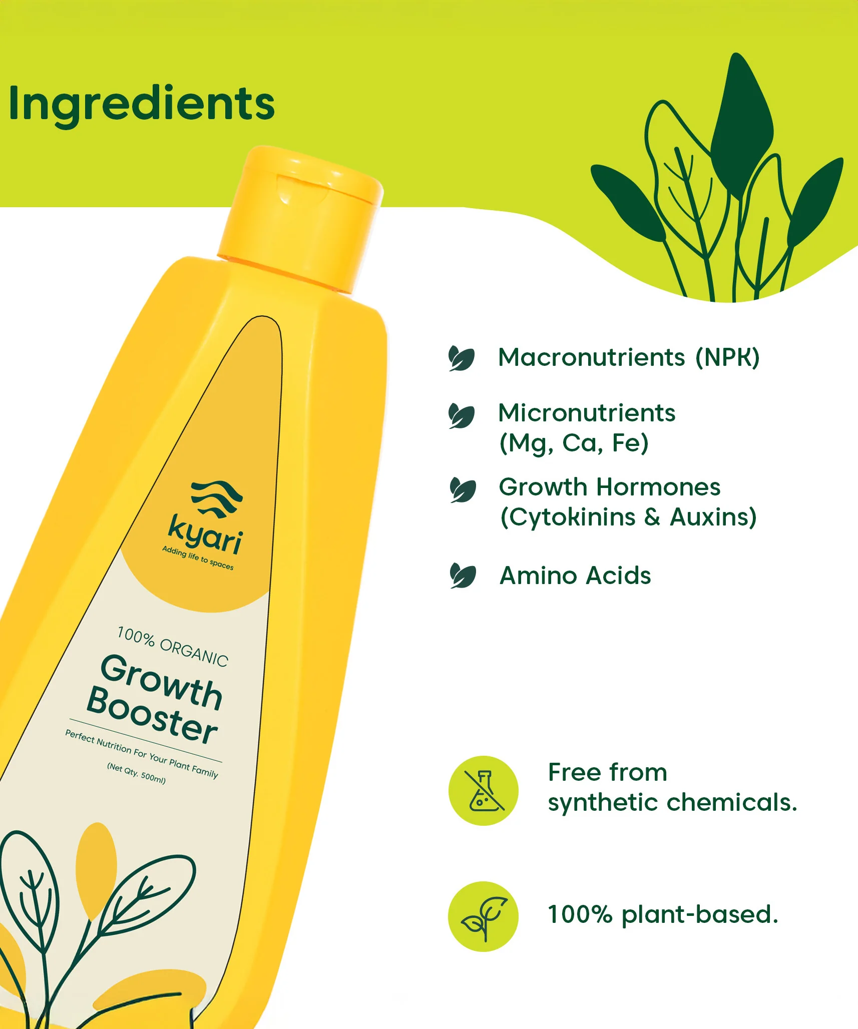 Growth Booster - Image 3
