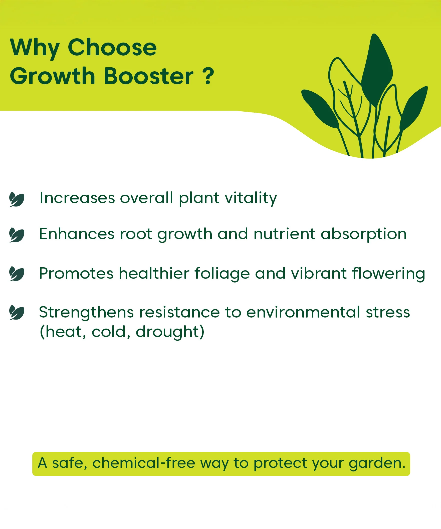 Growth Booster - Image 4