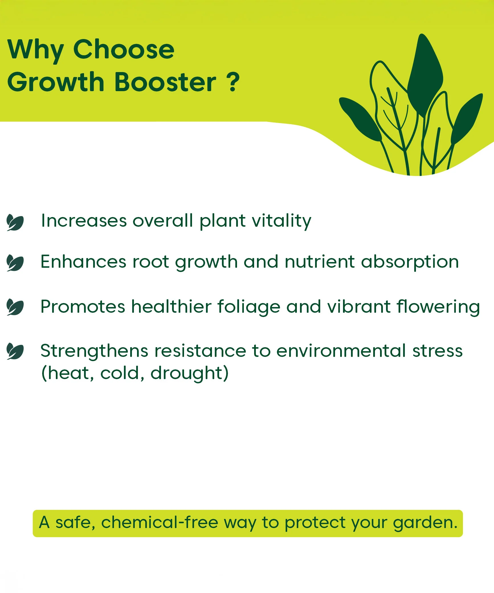Growth Booster - Image 9