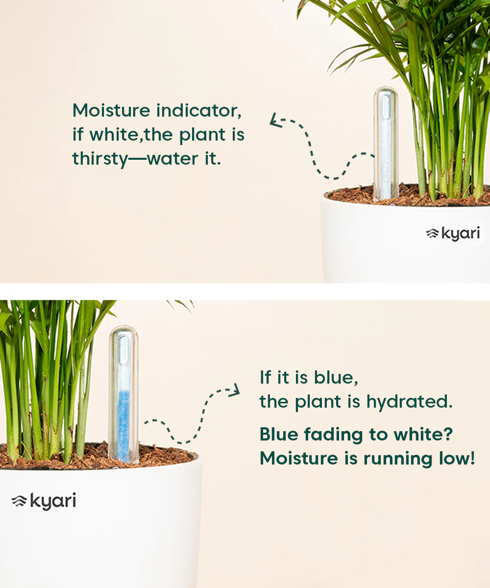 Hydrate - Water Meter - Image 35