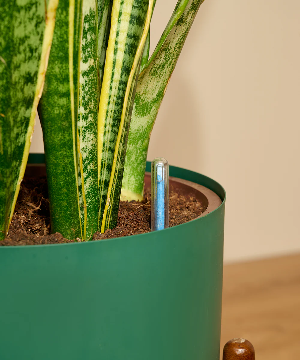 Hydrate - Water Meter - Image 37