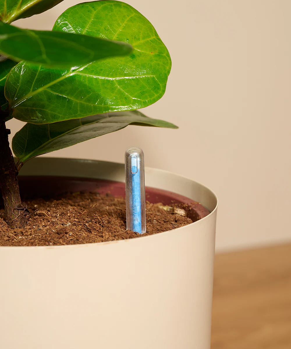 Hydrate - Water Meter - Image 8