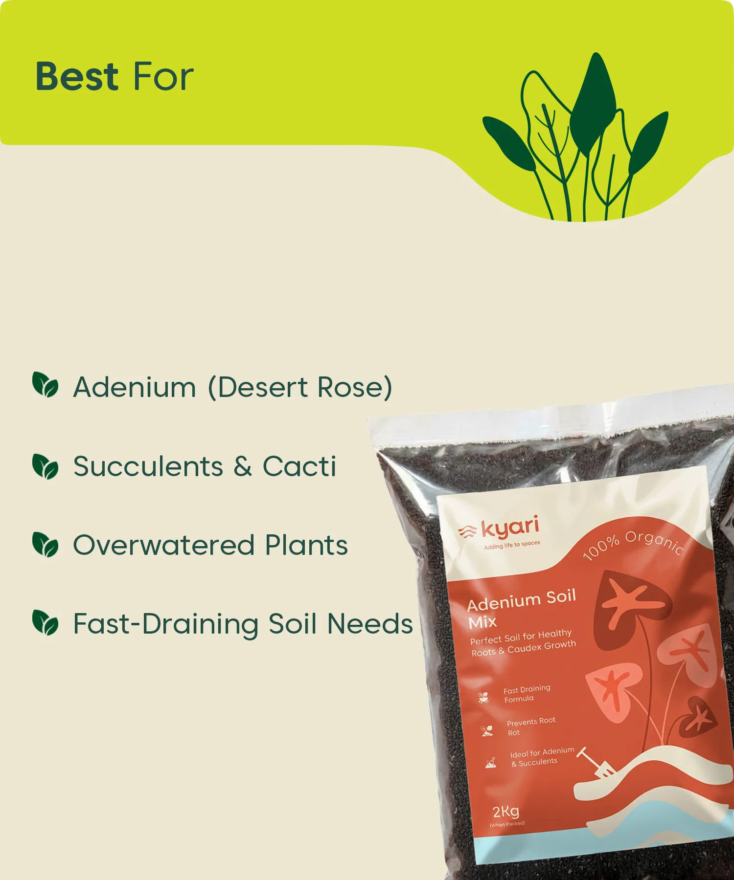 Kyari adenium soil mix 2 kg - Image 2