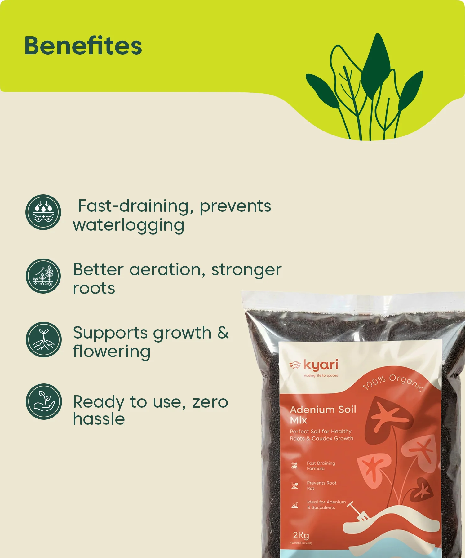 Kyari adenium soil mix 2 kg - Image 4