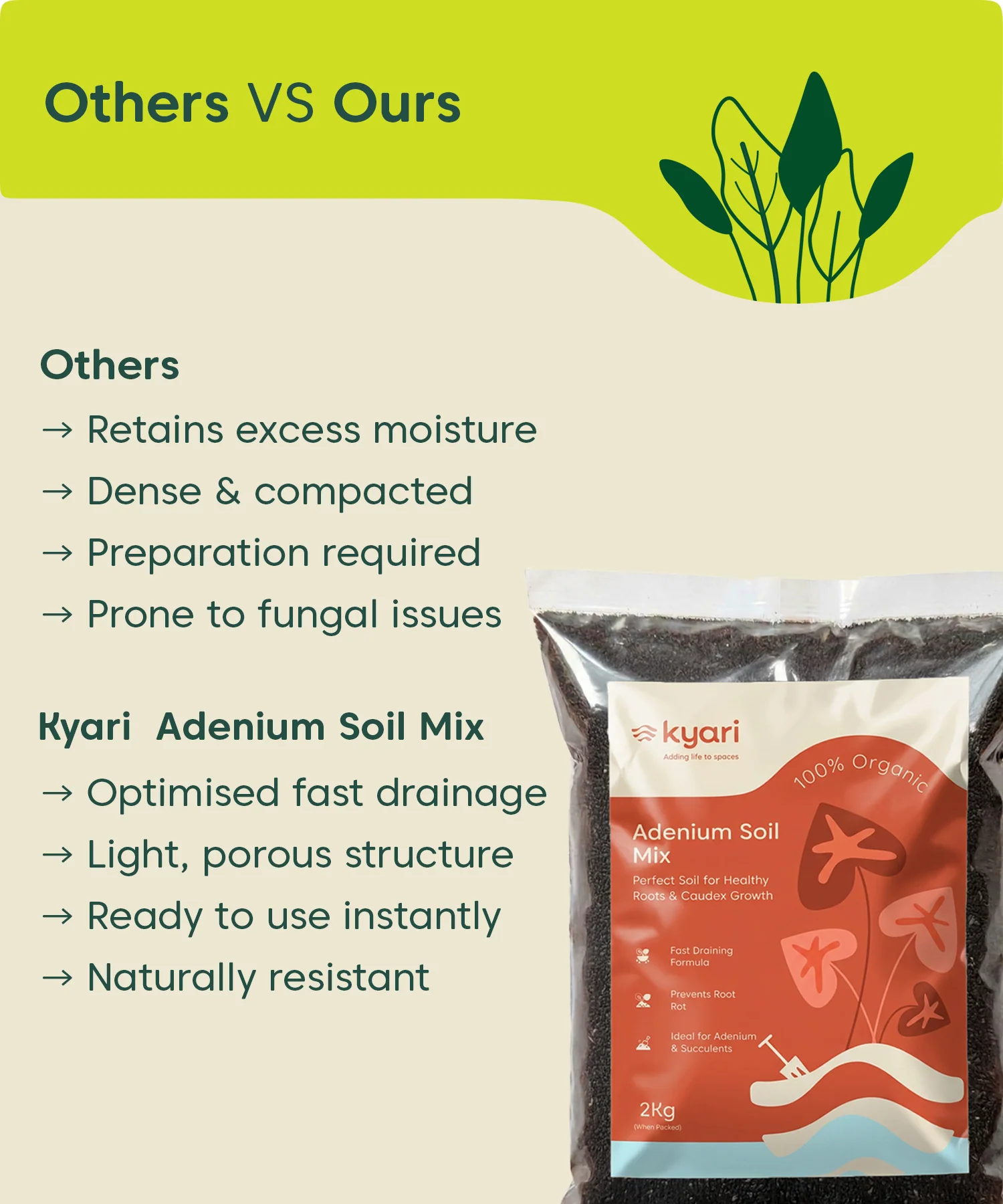 Kyari adenium soil mix 2 kg - Image 5
