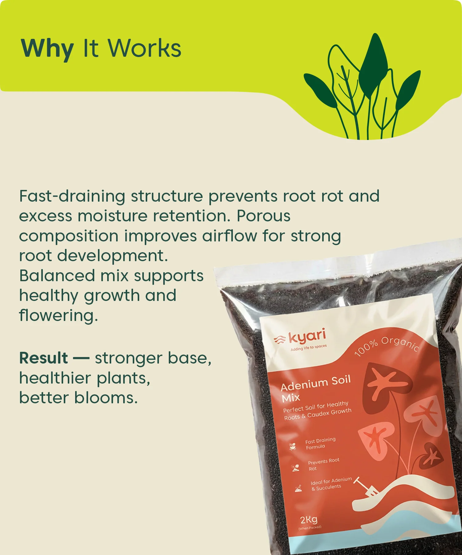Kyari adenium soil mix 2 kg - Image 6