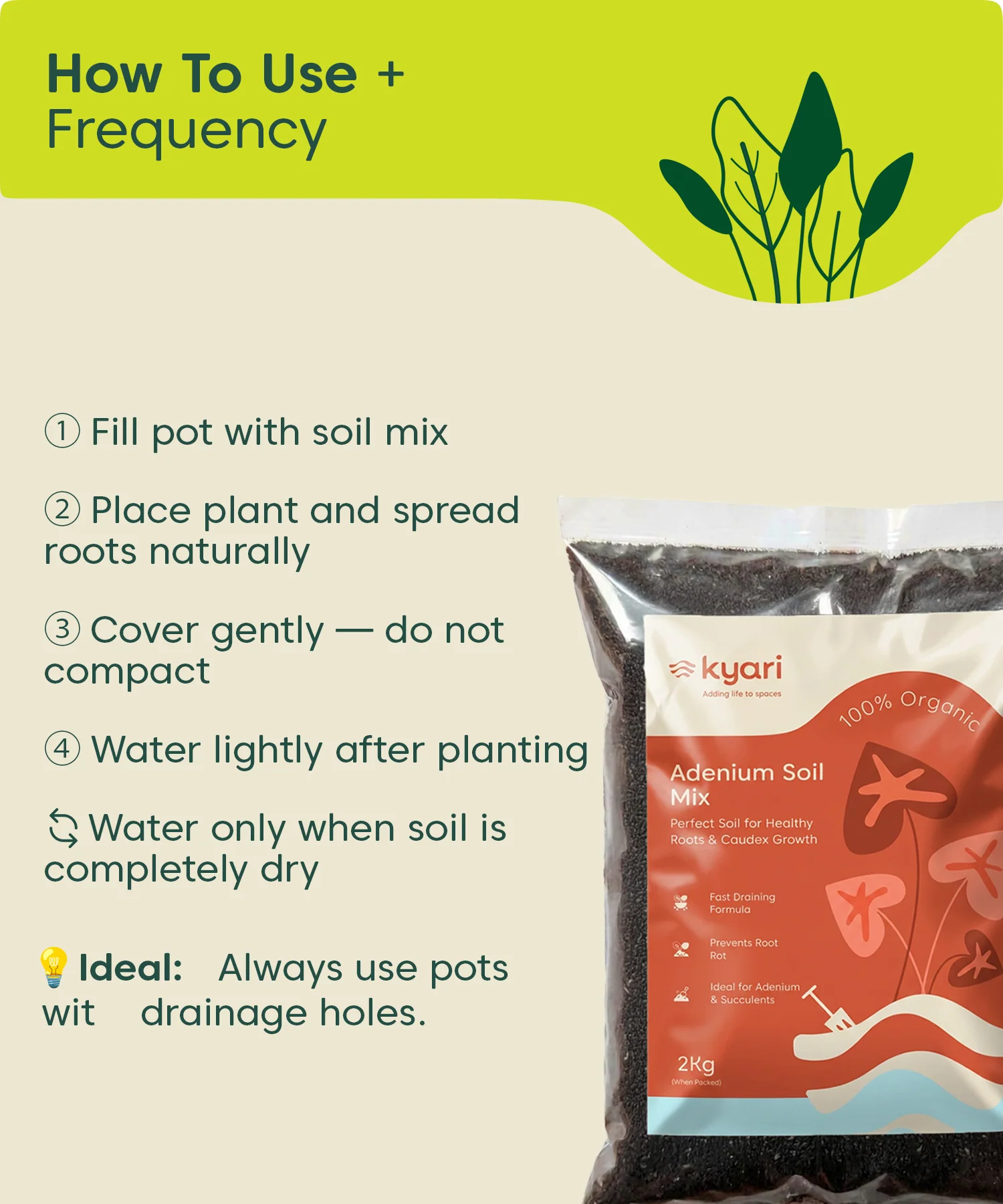 Kyari adenium soil mix 2 kg - Image 7