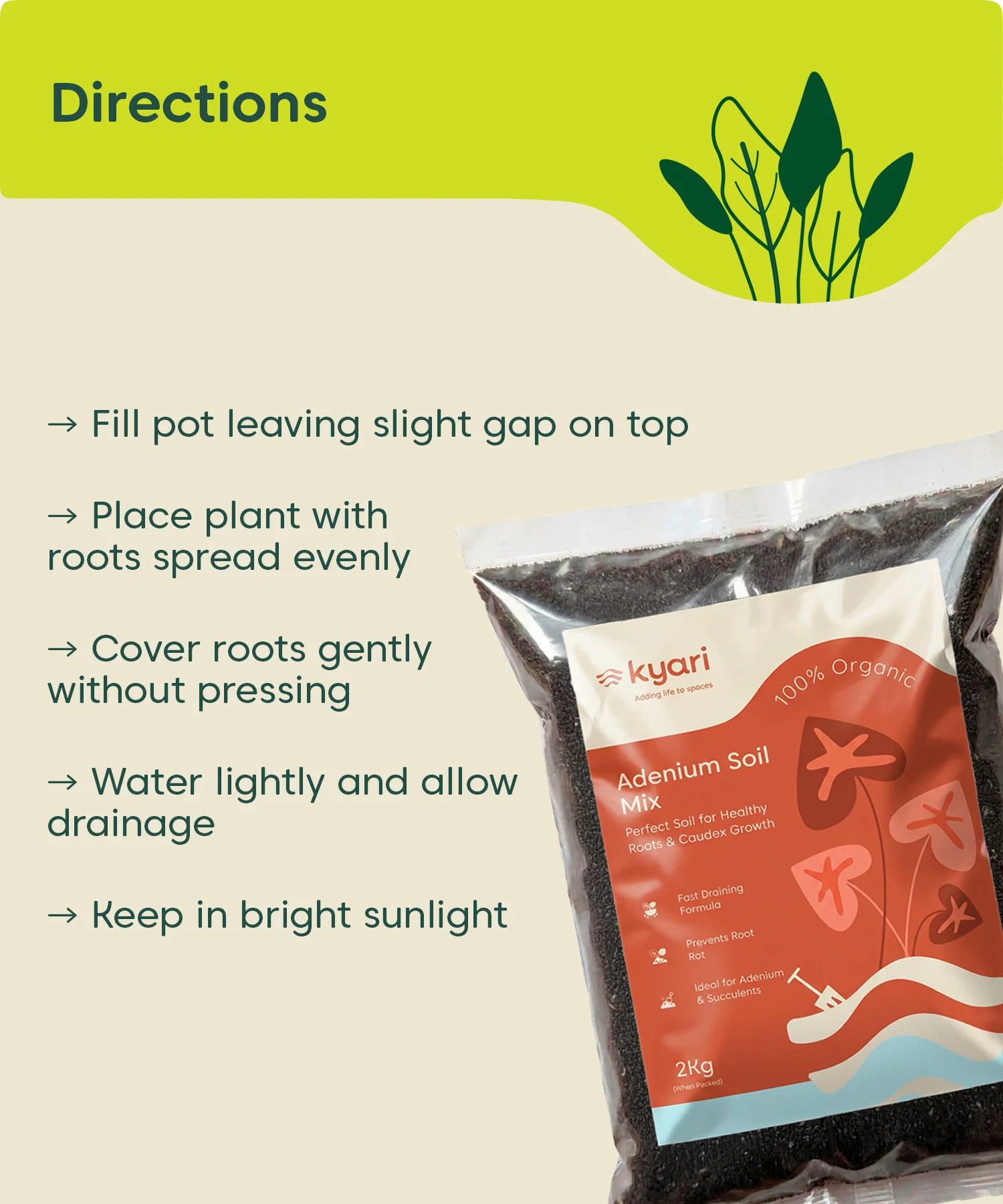 Kyari adenium soil mix 2 kg - Image 8