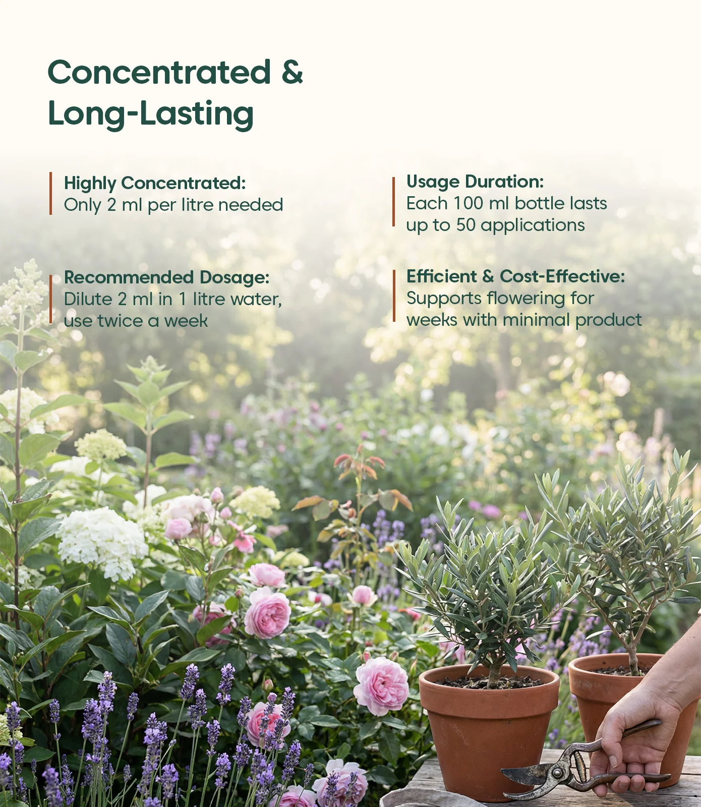 Kyari Flowering Stimulant Concentrate - Image 7