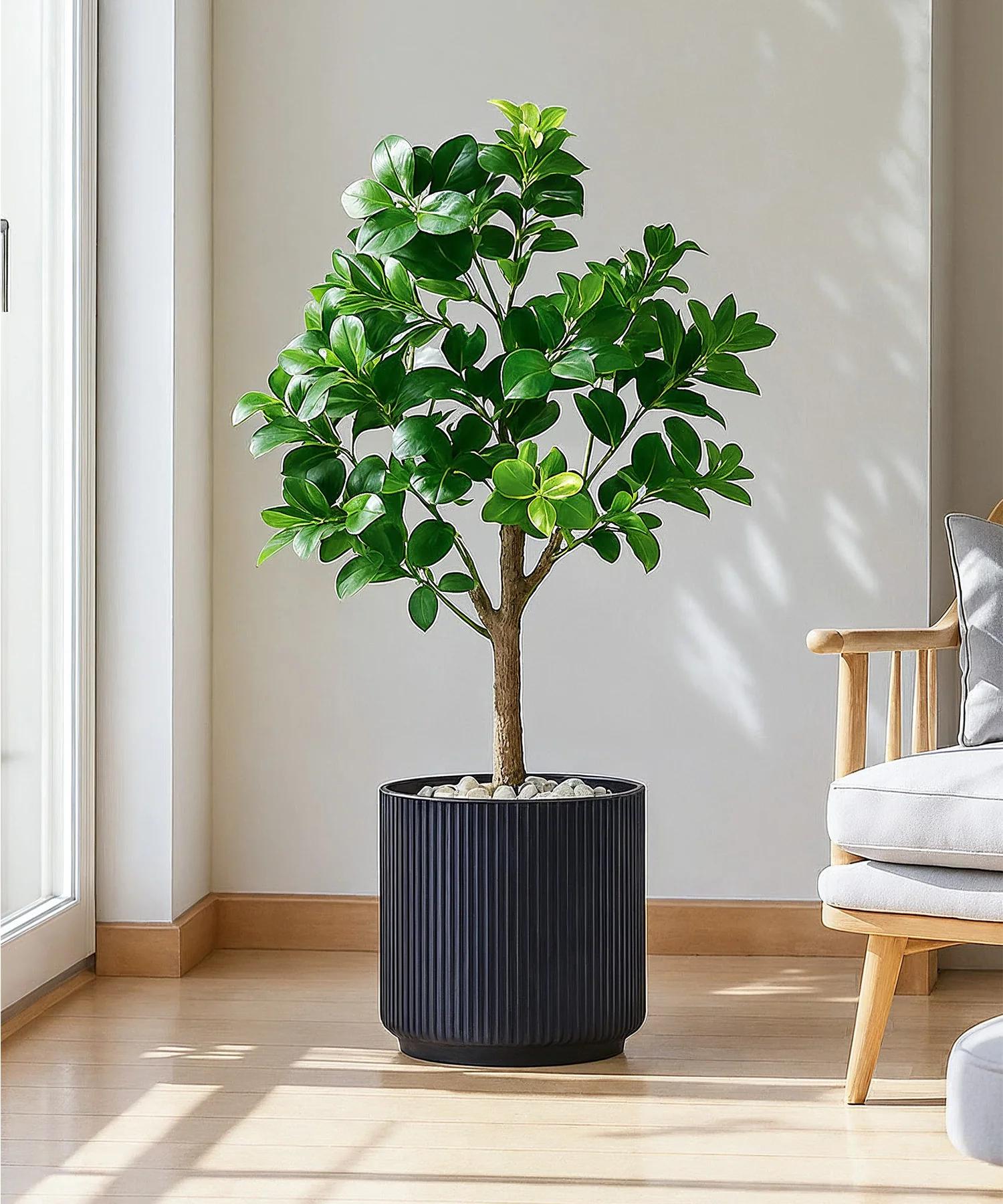 Manhattan Bloom Fiberglass Planter - Image 11