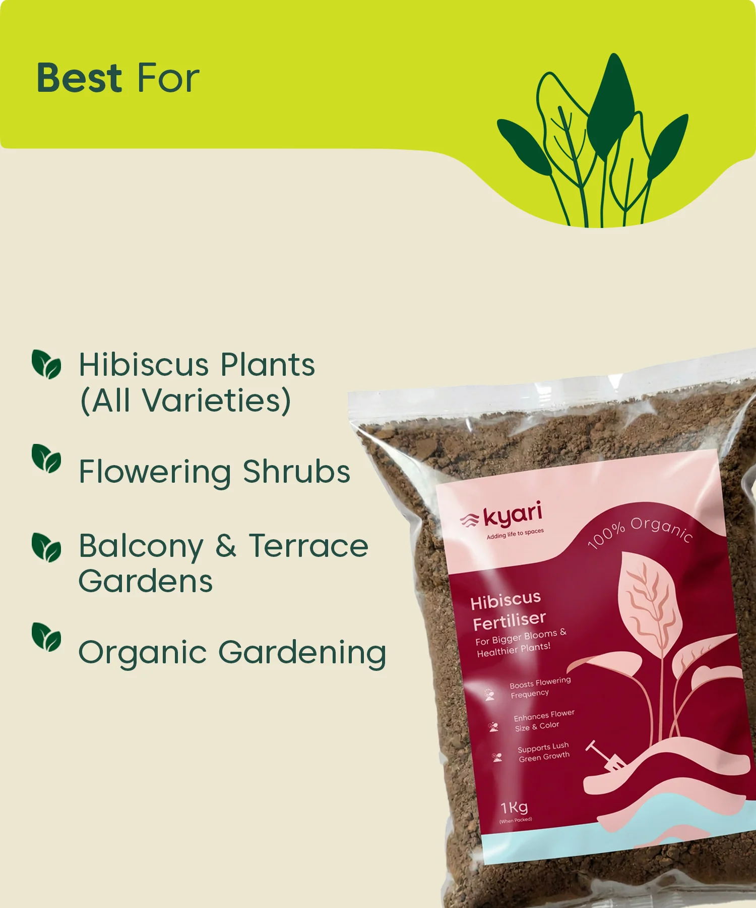 Kyari Hibiscus fertilizer 1kg - Image 2