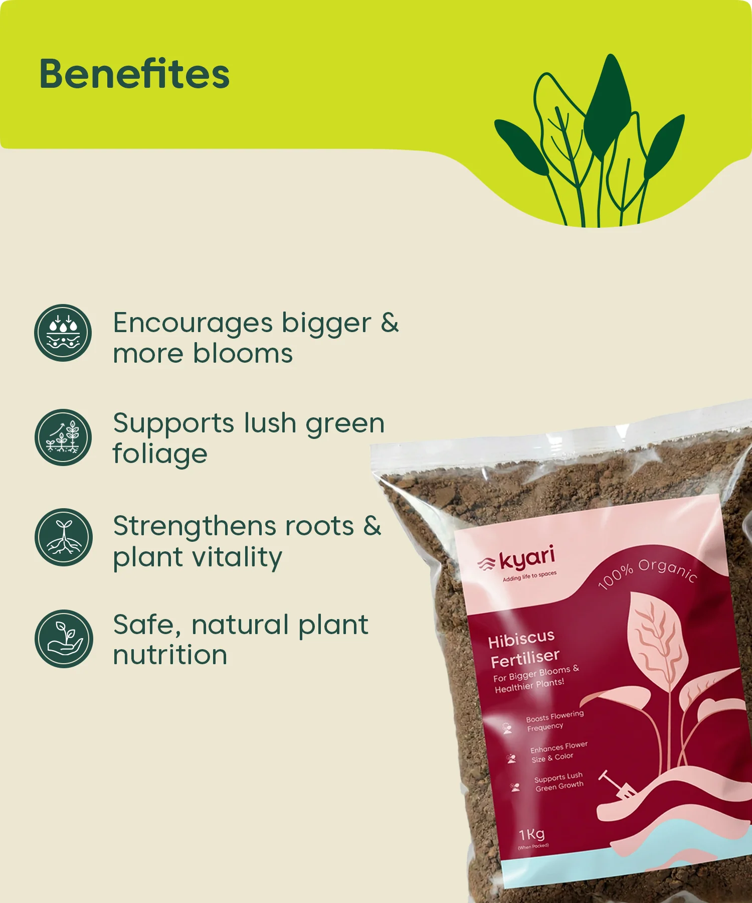 Kyari Hibiscus fertilizer 1kg - Image 3