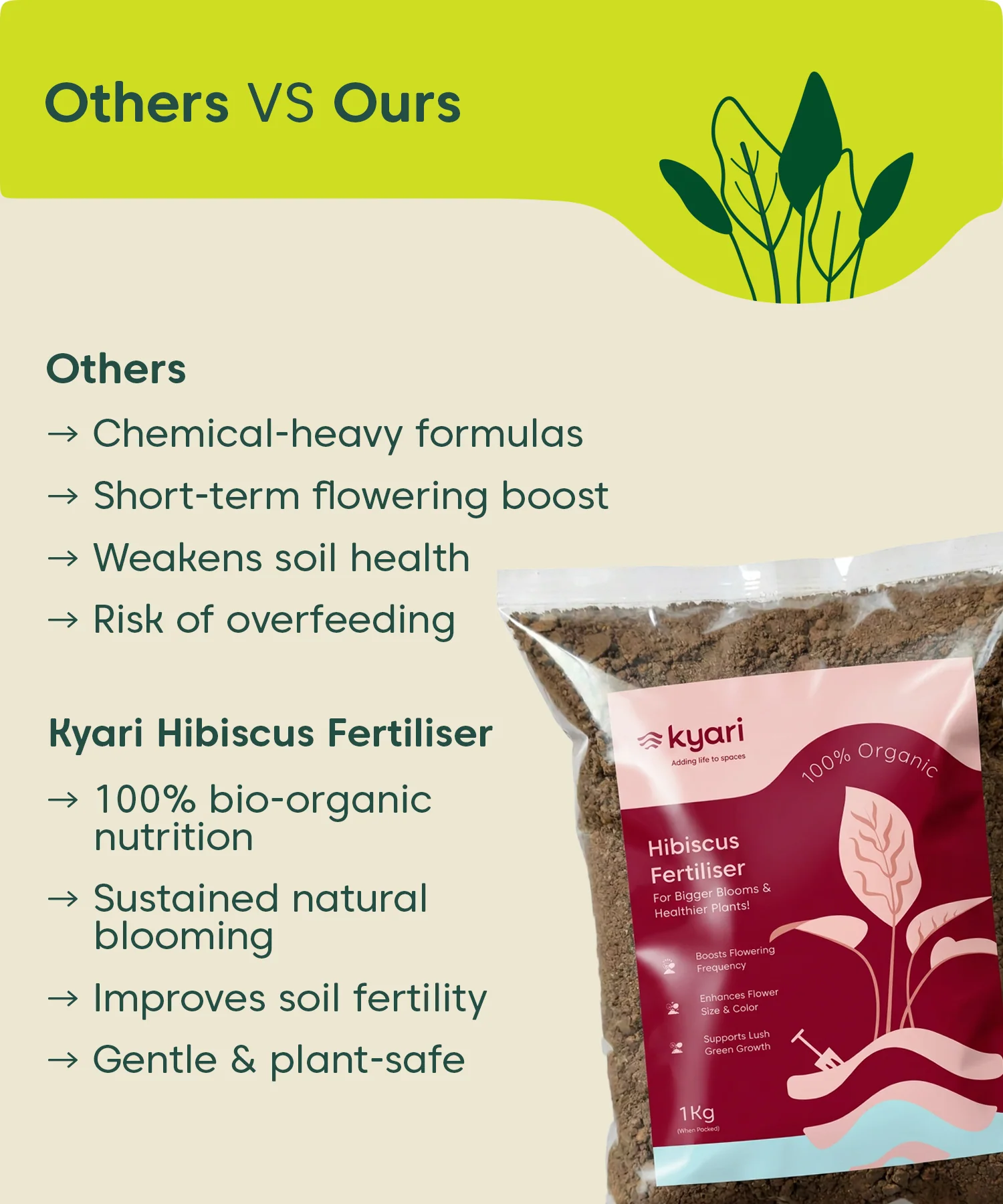 Kyari Hibiscus fertilizer 1kg - Image 4