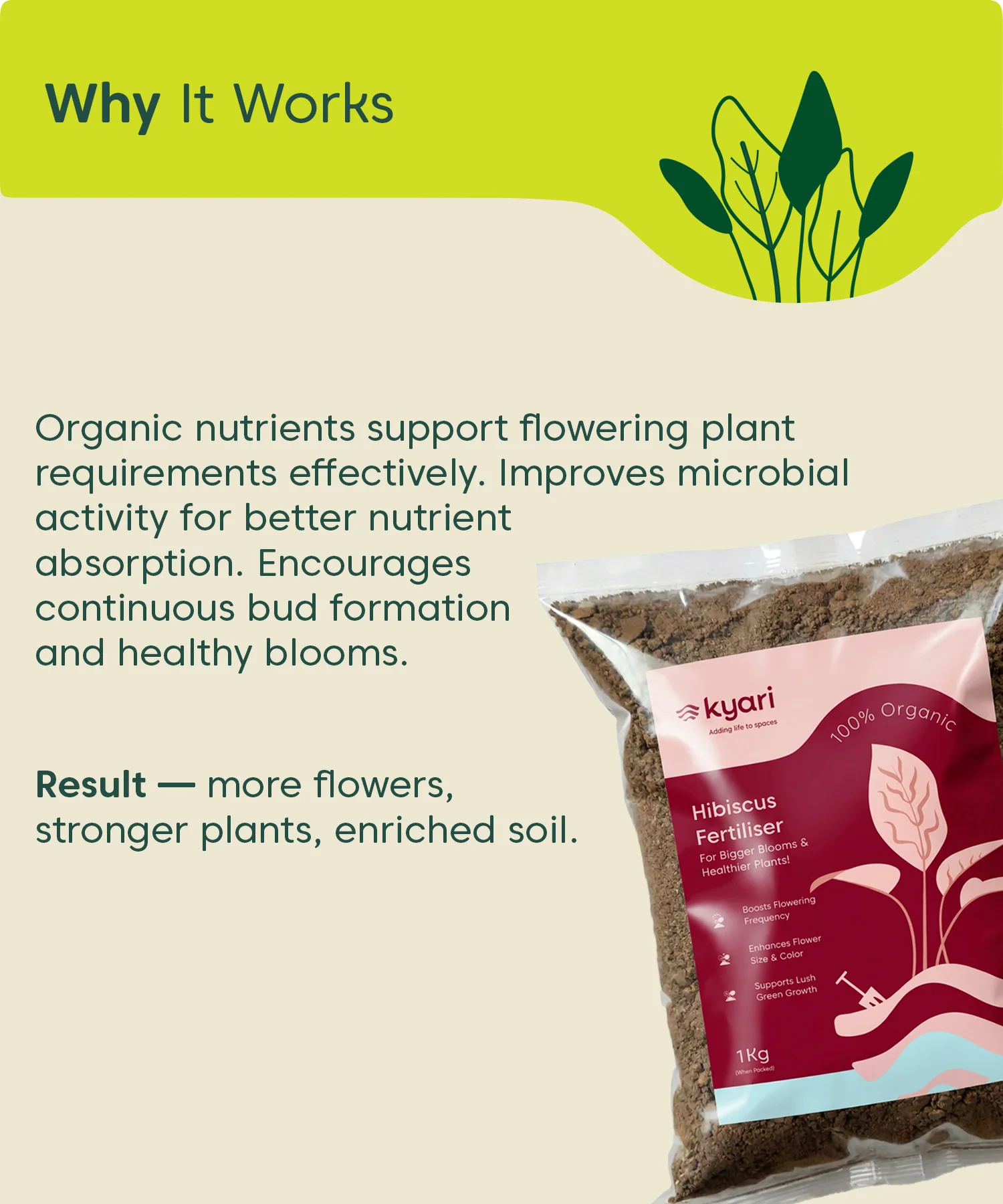 Kyari Hibiscus fertilizer 1kg - Image 6