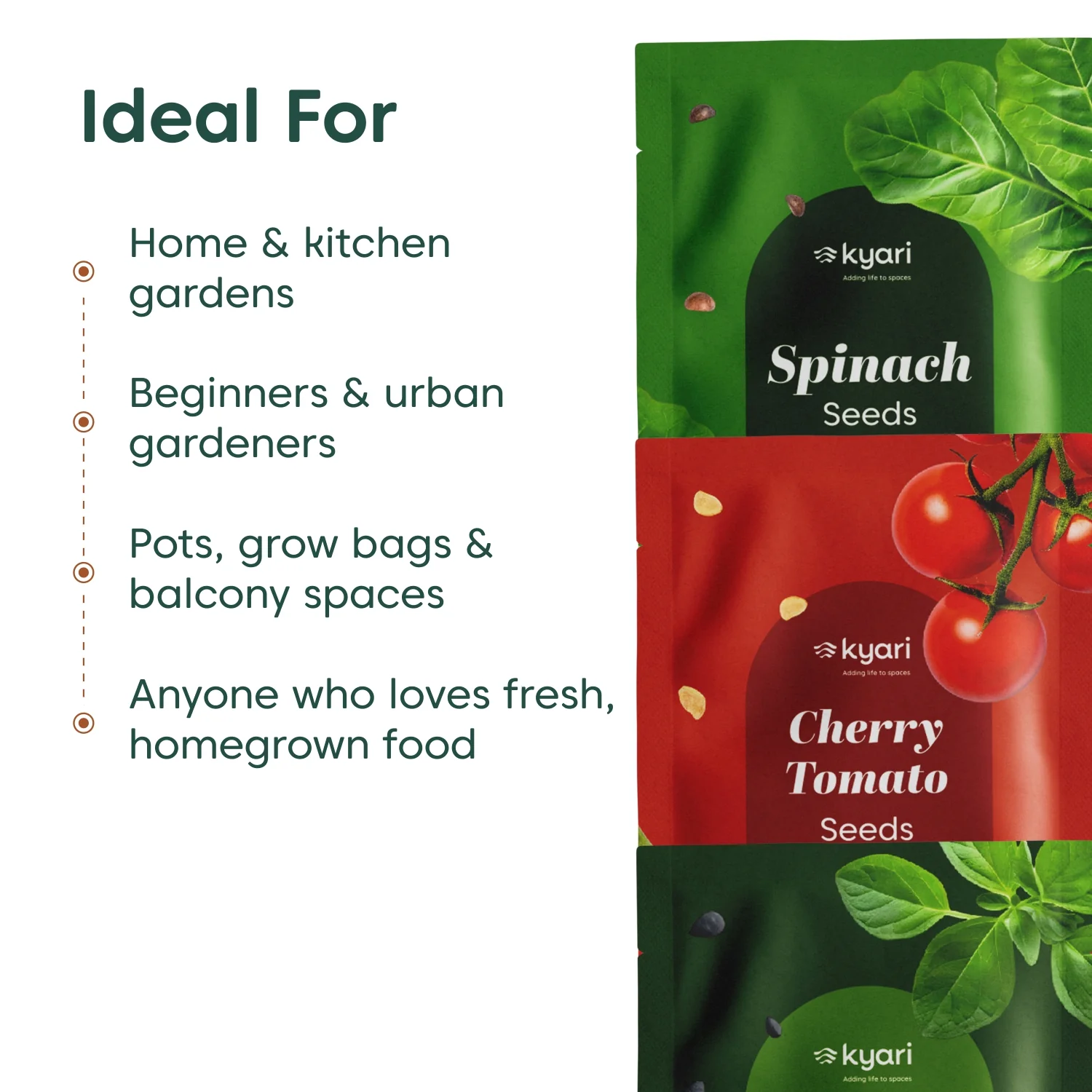 Kyari Kitchen Garden Seeds Trio – Spinach, Cherry Tomato & Basil - Image 4