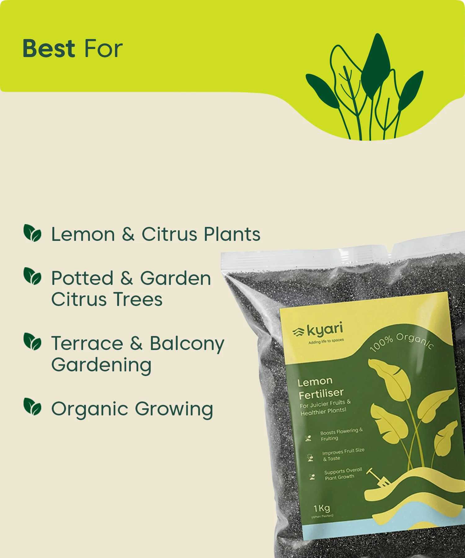Kyari Lemon Fertiliser 1 kg - Image 2