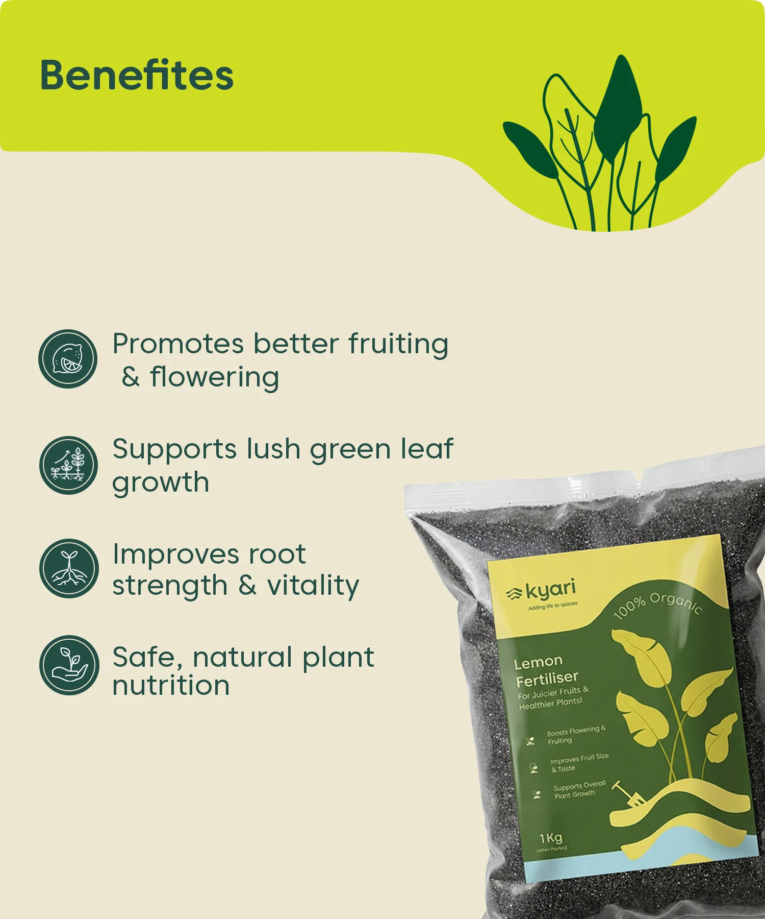 Kyari Lemon Fertiliser 1 kg - Image 3