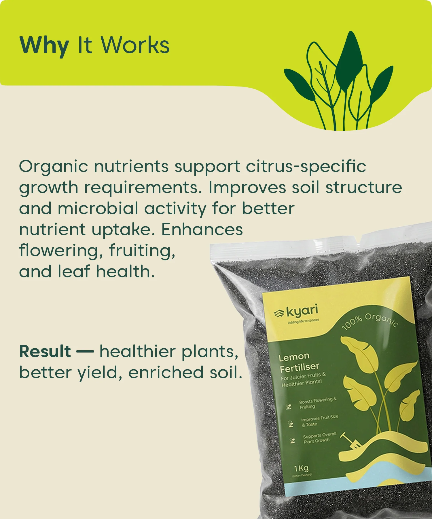 Kyari Lemon Fertiliser 1 kg - Image 5