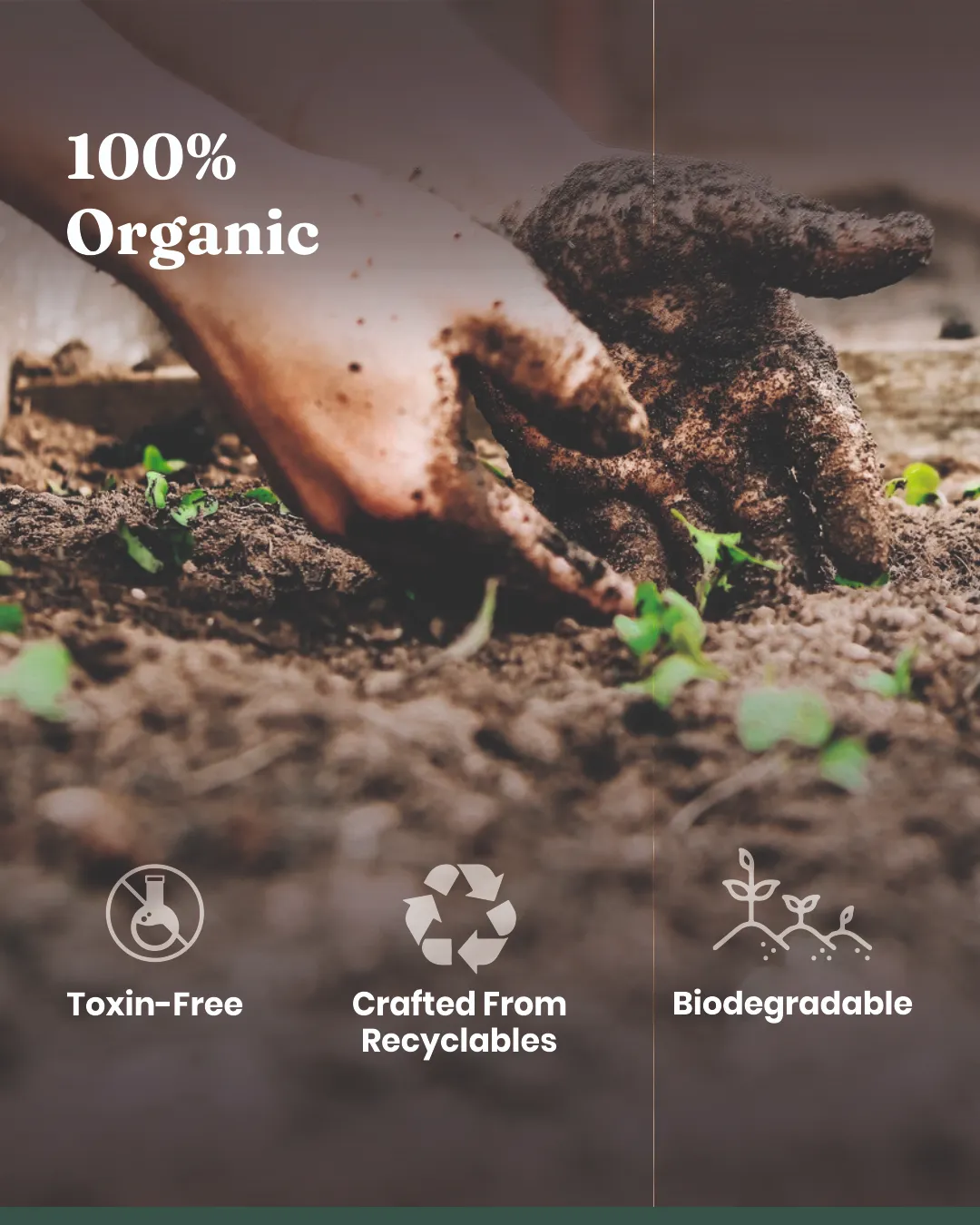Kyari Perlite 250 gm Plant Food - Image 11