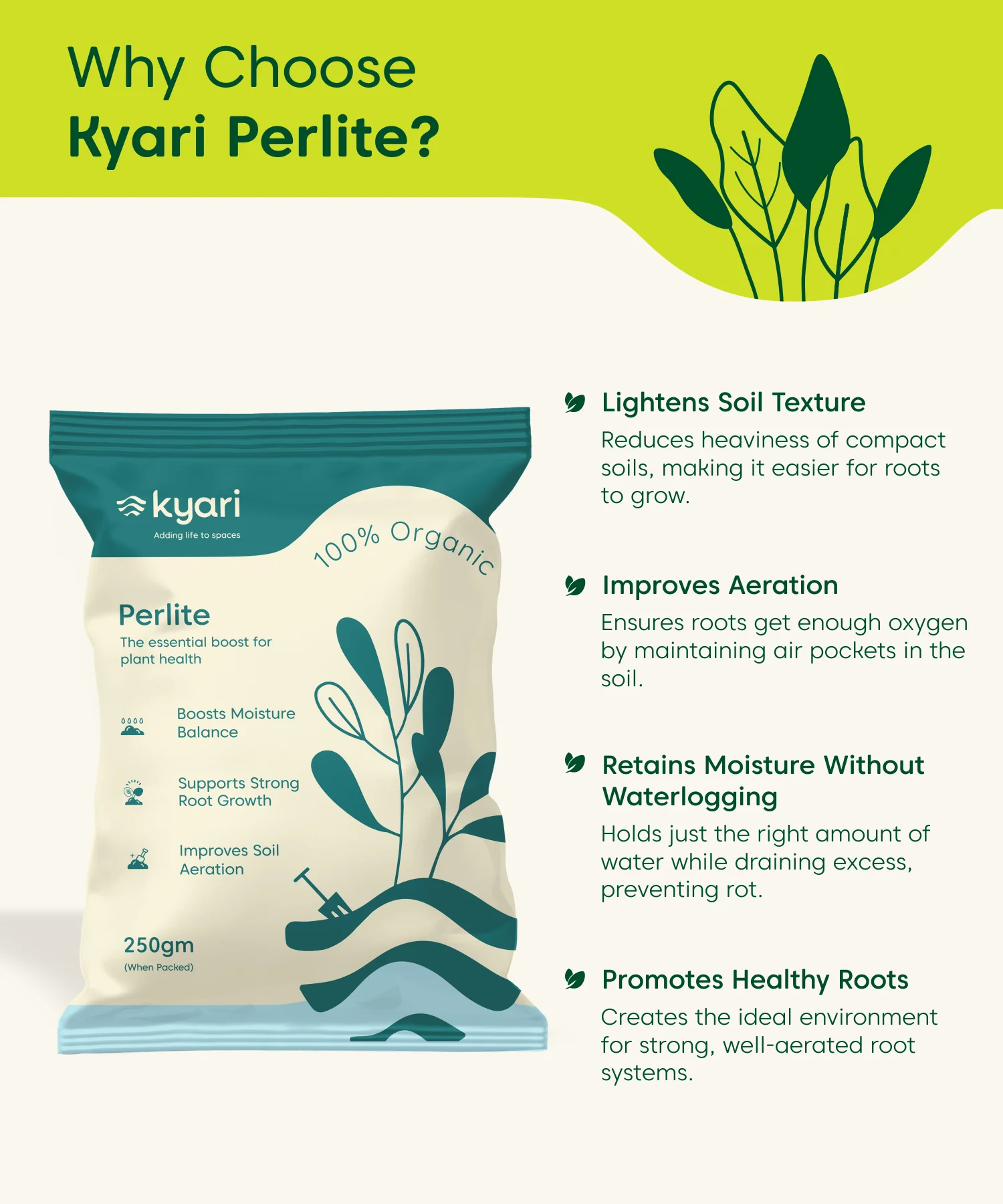 Kyari Perlite 250 gm Plant Food - Image 3
