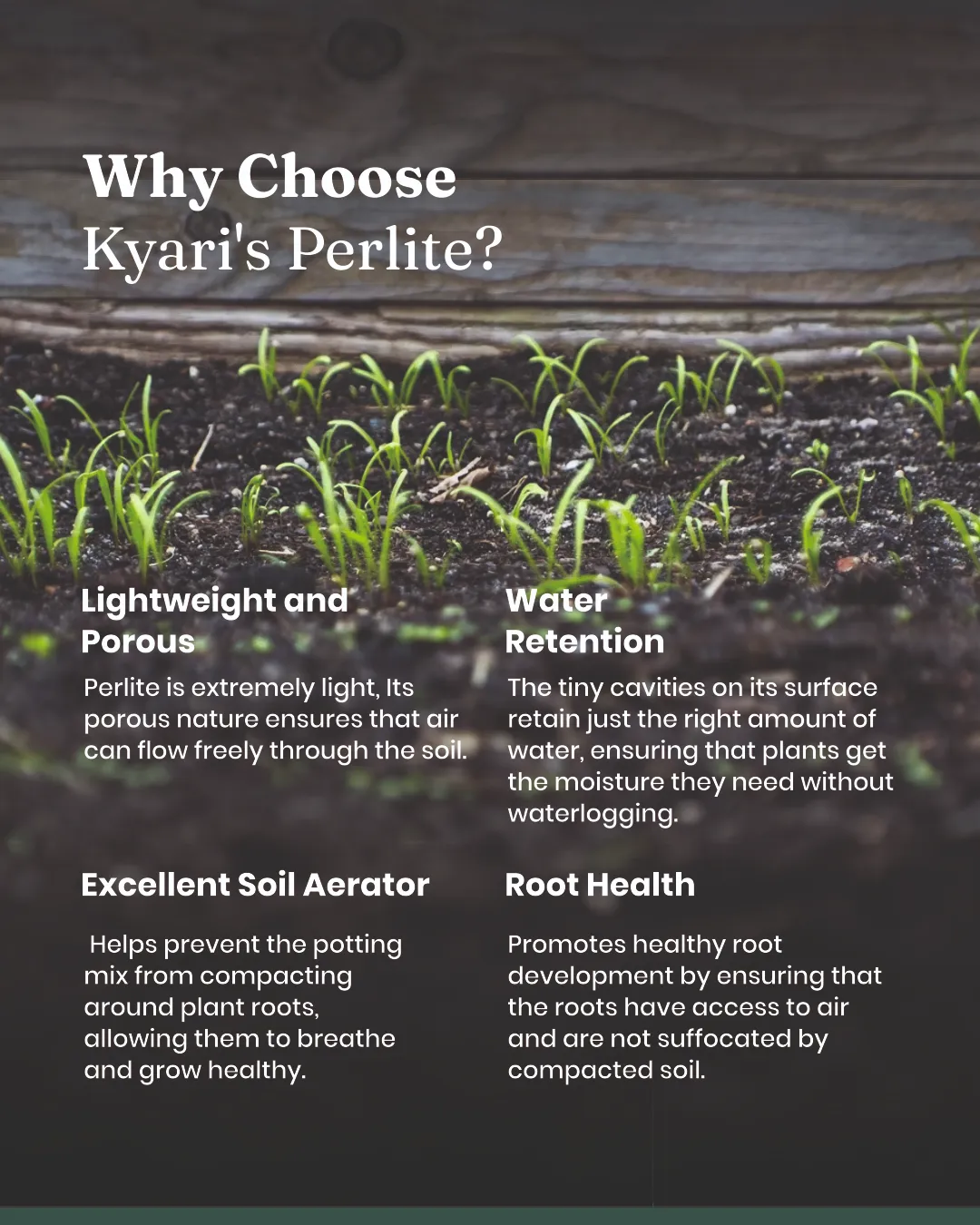 Kyari Perlite 250 gm Plant Food - Image 8