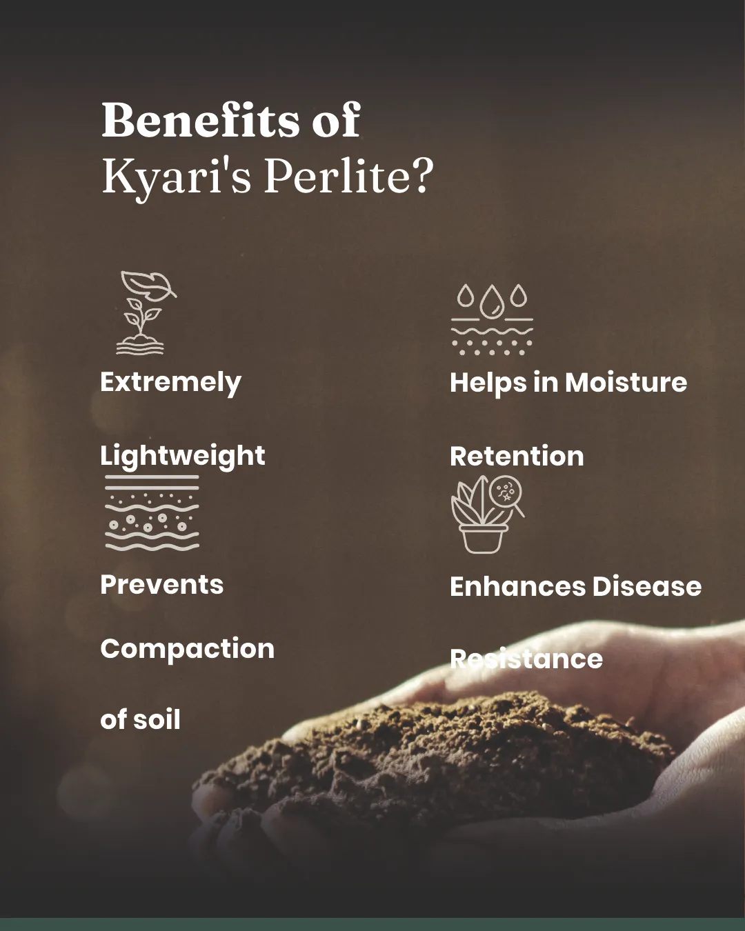 Kyari Perlite 250 gm Plant Food - Image 9