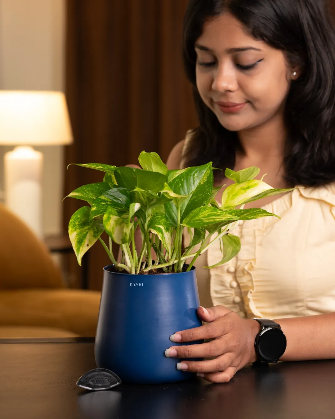 Money Variegated Plant with Medium Self Watering Pot - Image 3