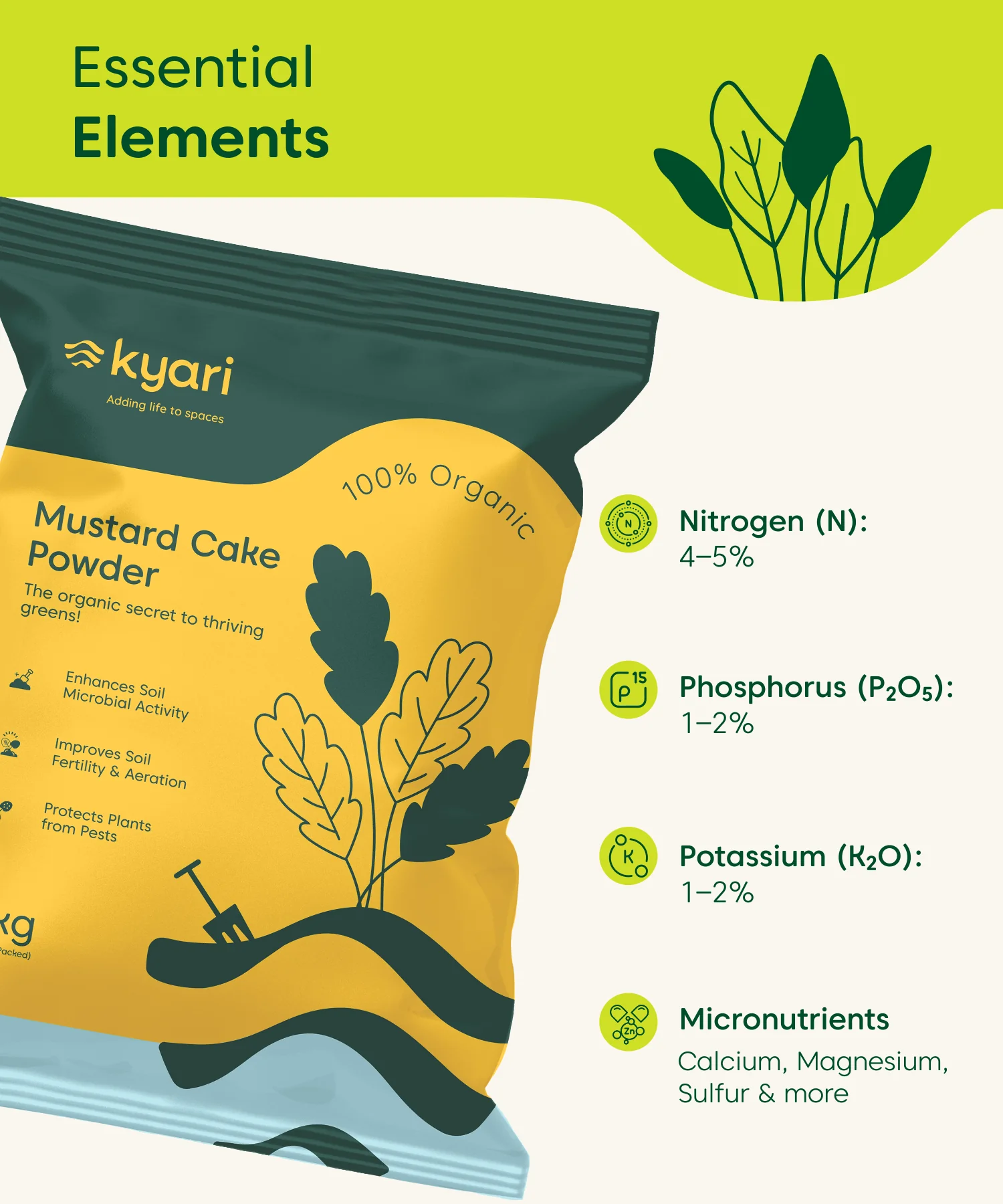 Mustard Cake Powder 1kg - Image 2
