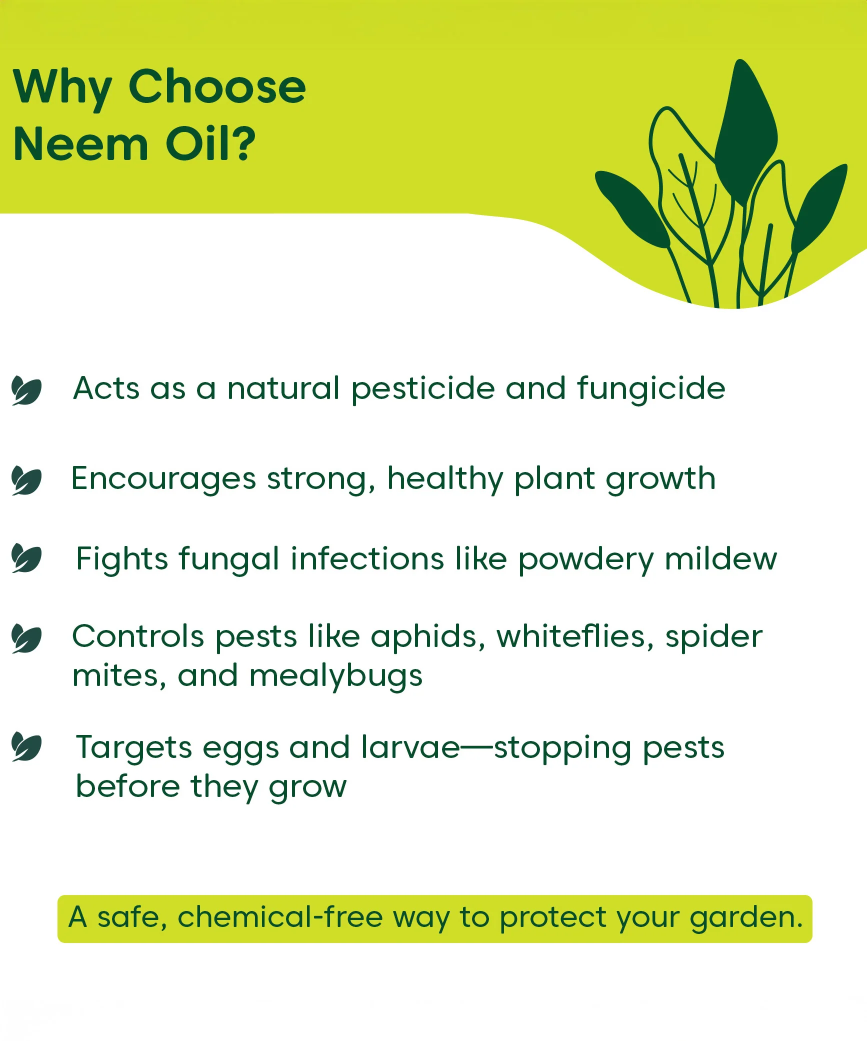 Neem Oil For Plants - Image 10