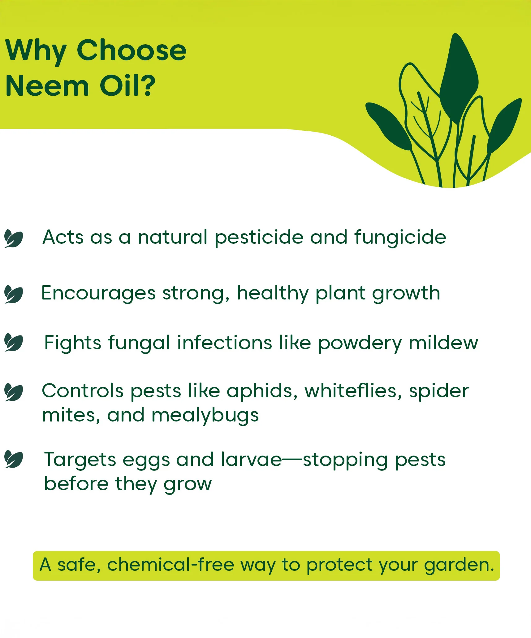 Neem Oil For Plants - Image 3