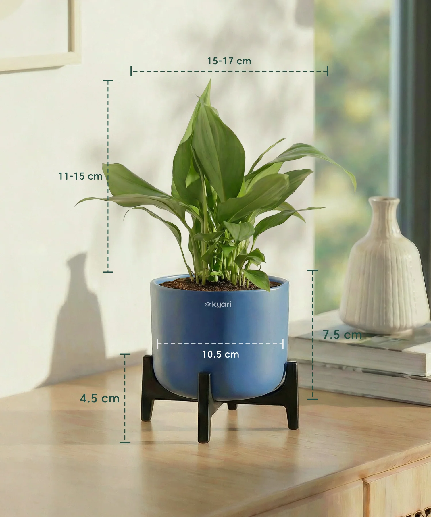 Peace Lily Plant with Aira Pot - Image 10