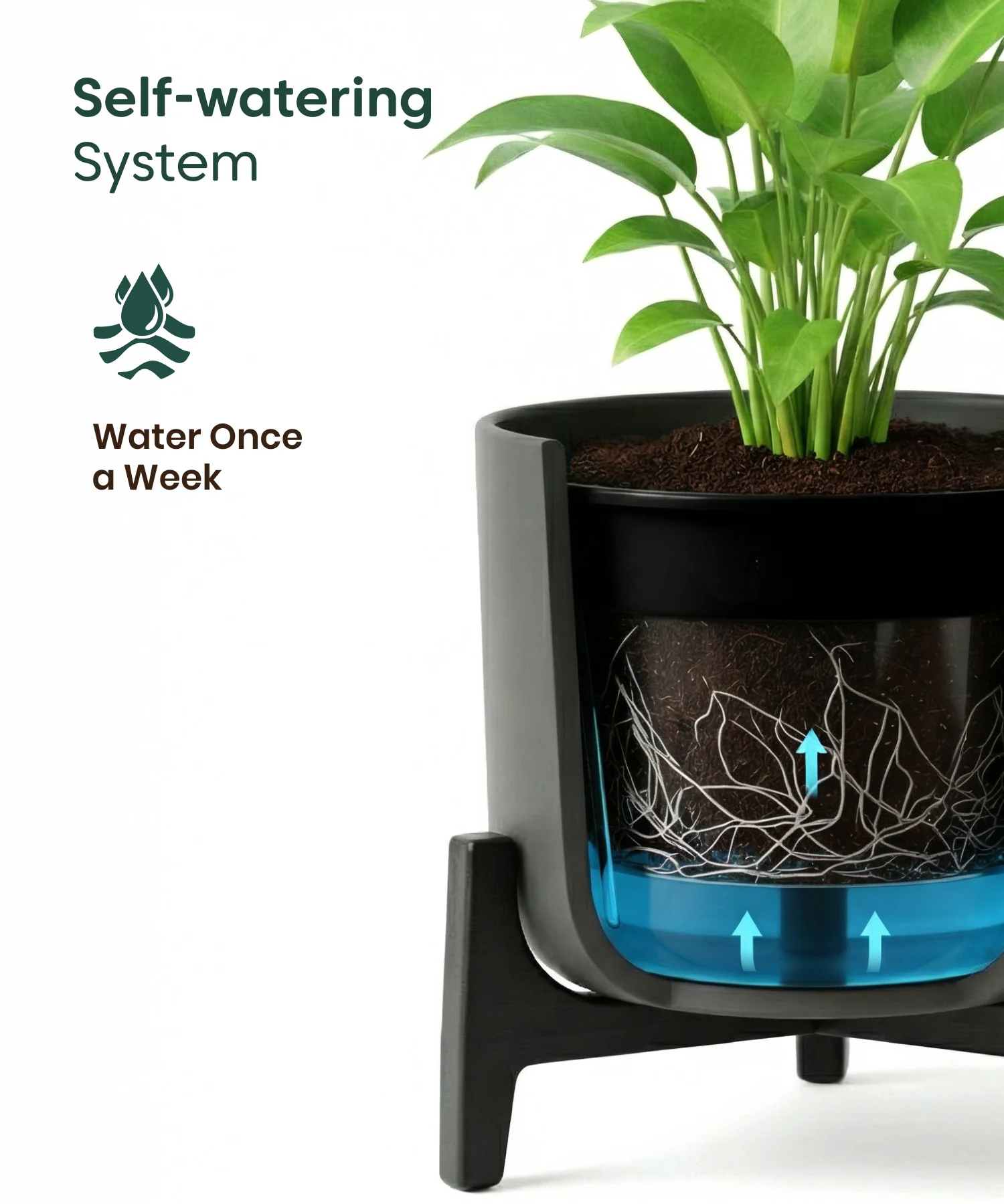 Peace Lily Plant with Aira Pot - Image 12
