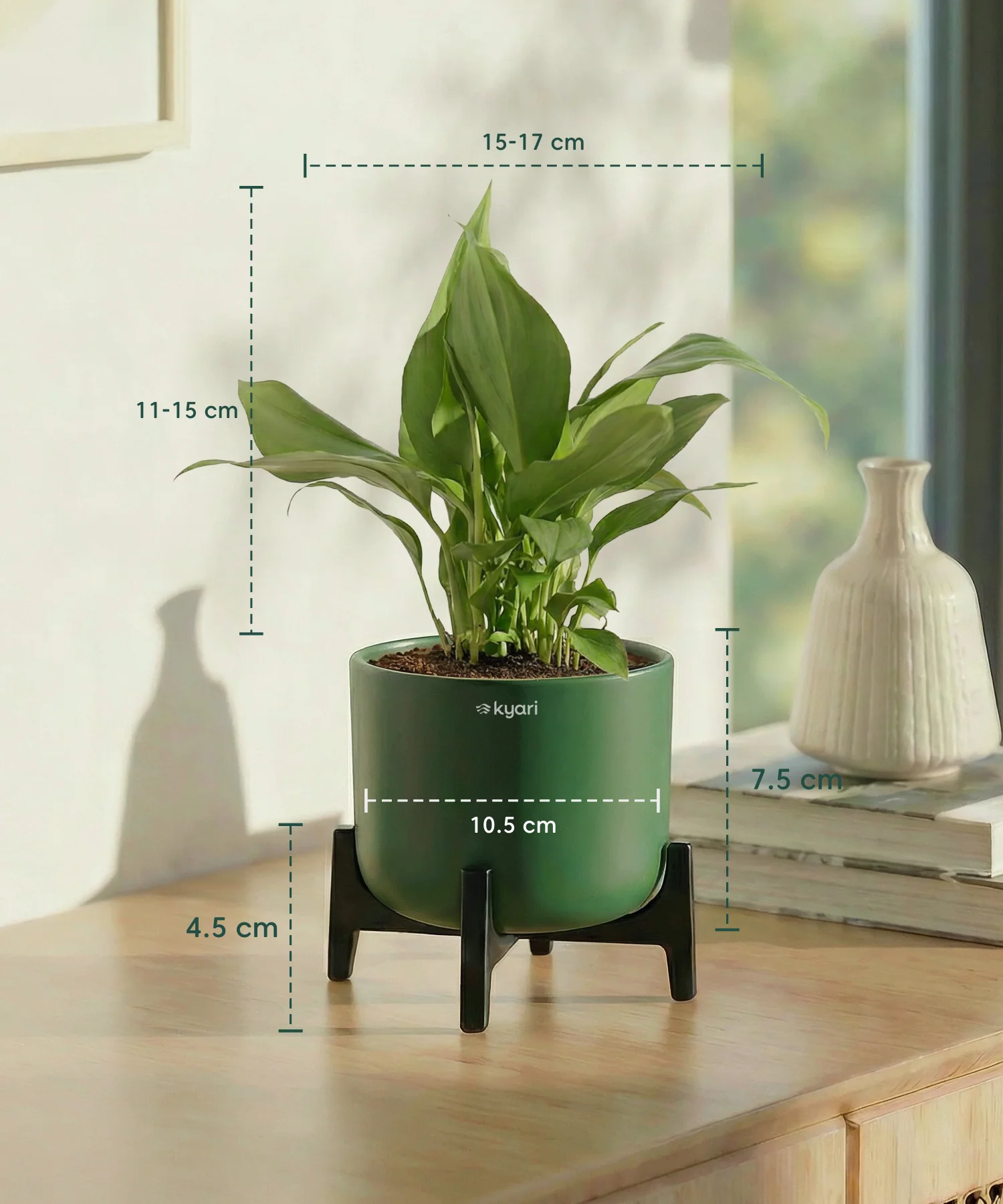 Peace Lily Plant with Aira Pot - Image 17
