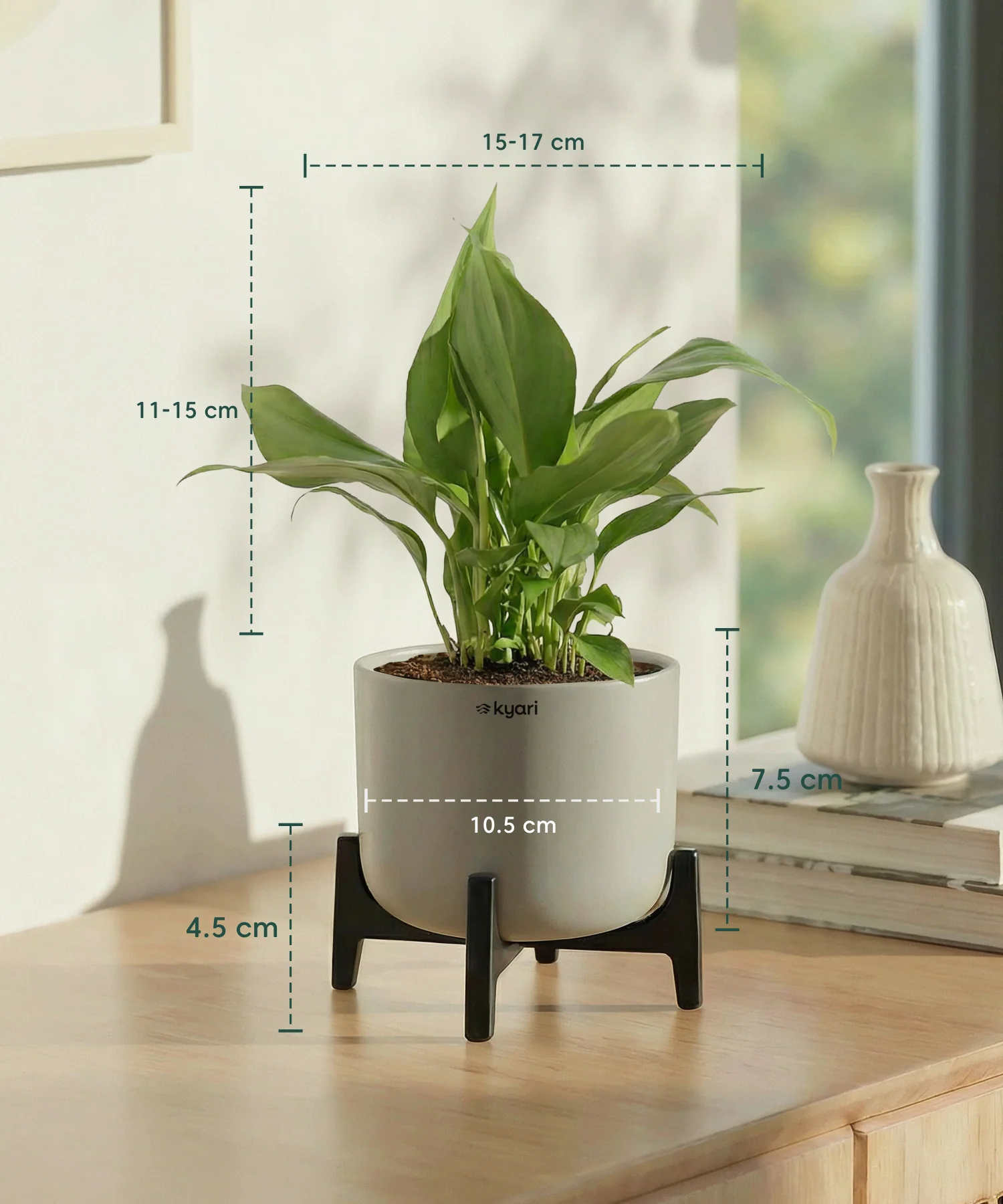 Peace Lily Plant with Aira Pot - Image 2