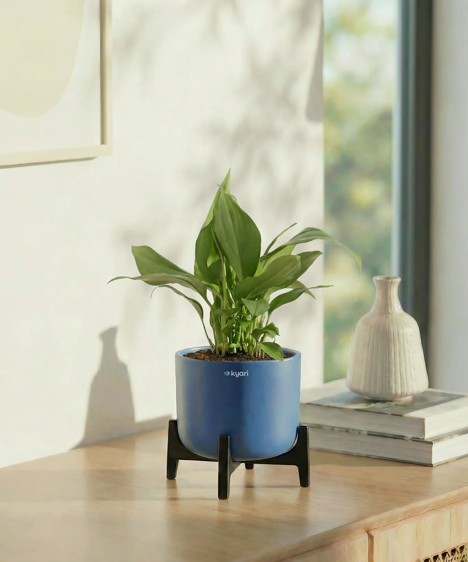 Peace Lily Plant with Aira Pot - Image 6