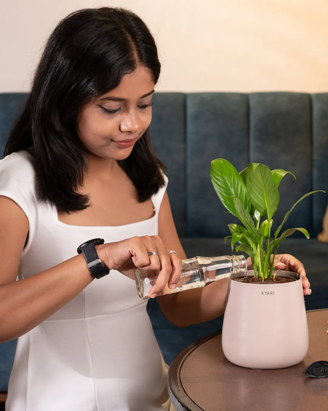 Peace Lily Plant with Medium Self Watering Pot - Image 16