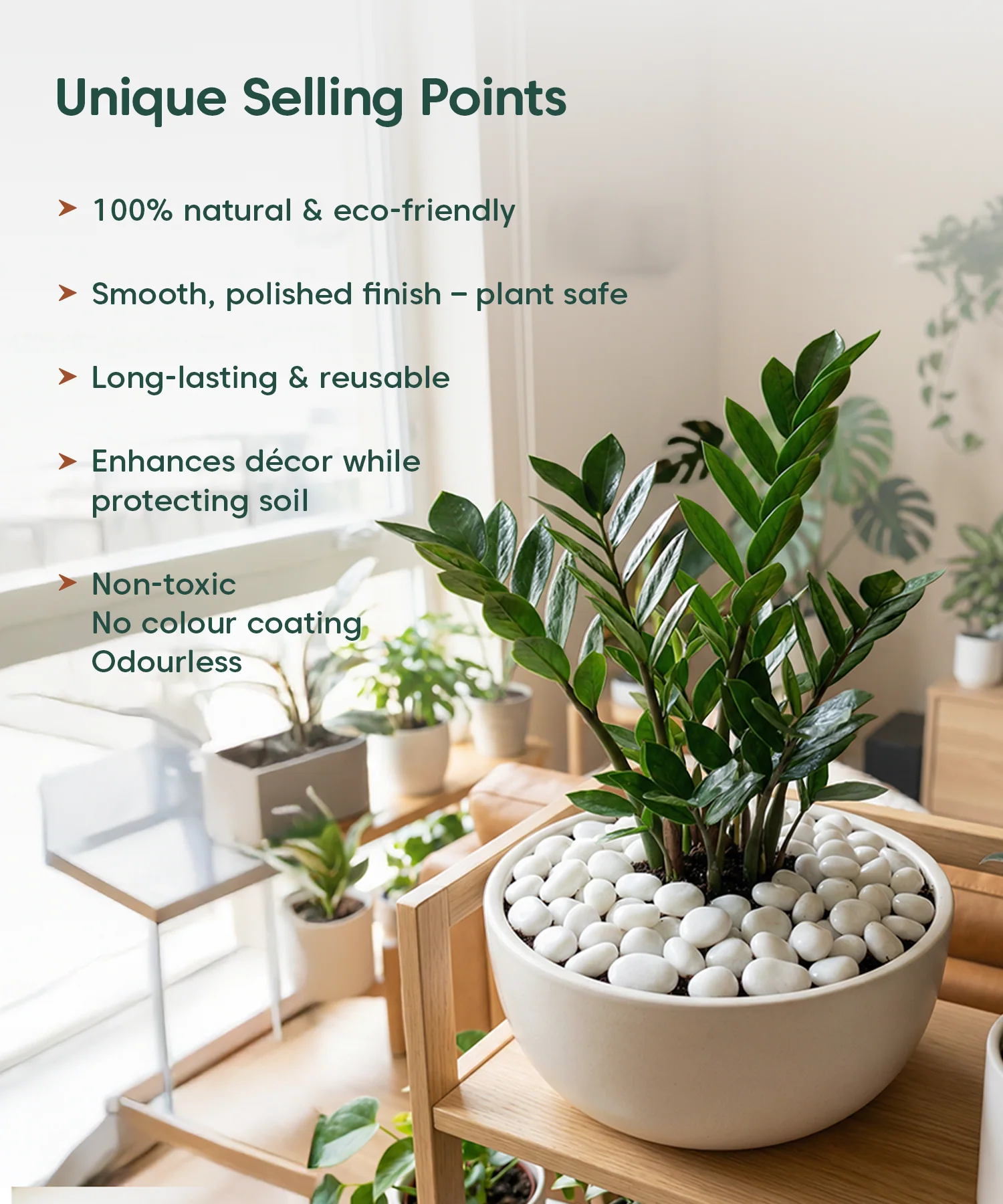 Decorative White Pebbles (1 KG) – For Pots & Gardens - Image 5