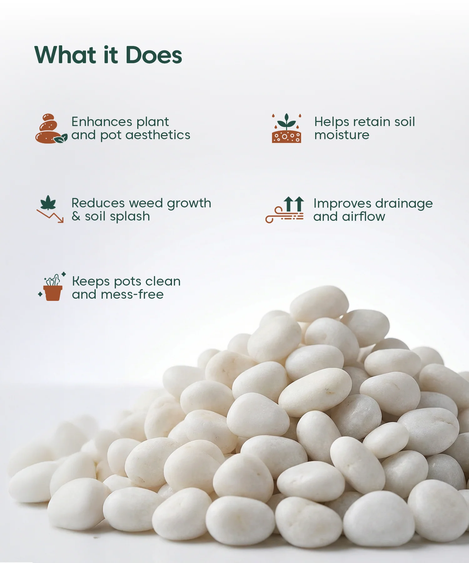 Decorative White Pebbles (1 KG) – For Pots & Gardens - Image 7